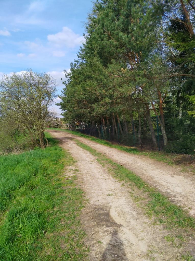 Jaro na Braníškově