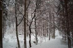 Přírodní park Bílý potok - zimní galerie