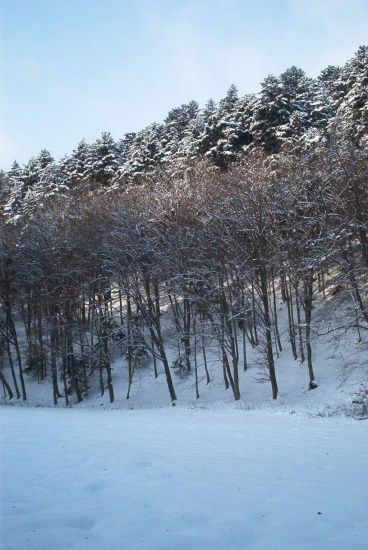 Přírodní park Bílý potok - zimní galerie